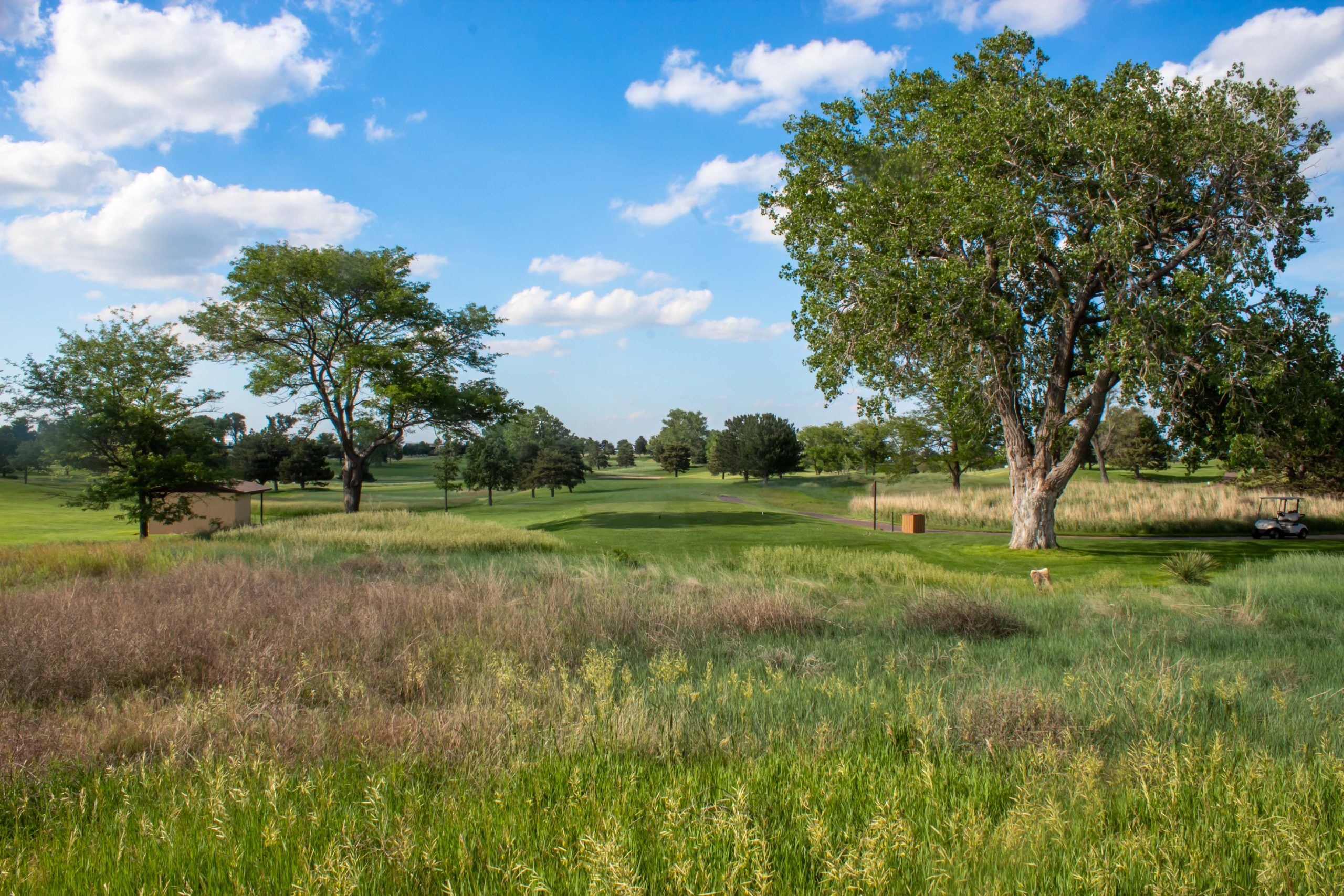 Buffalo Dunes Golf Course 35